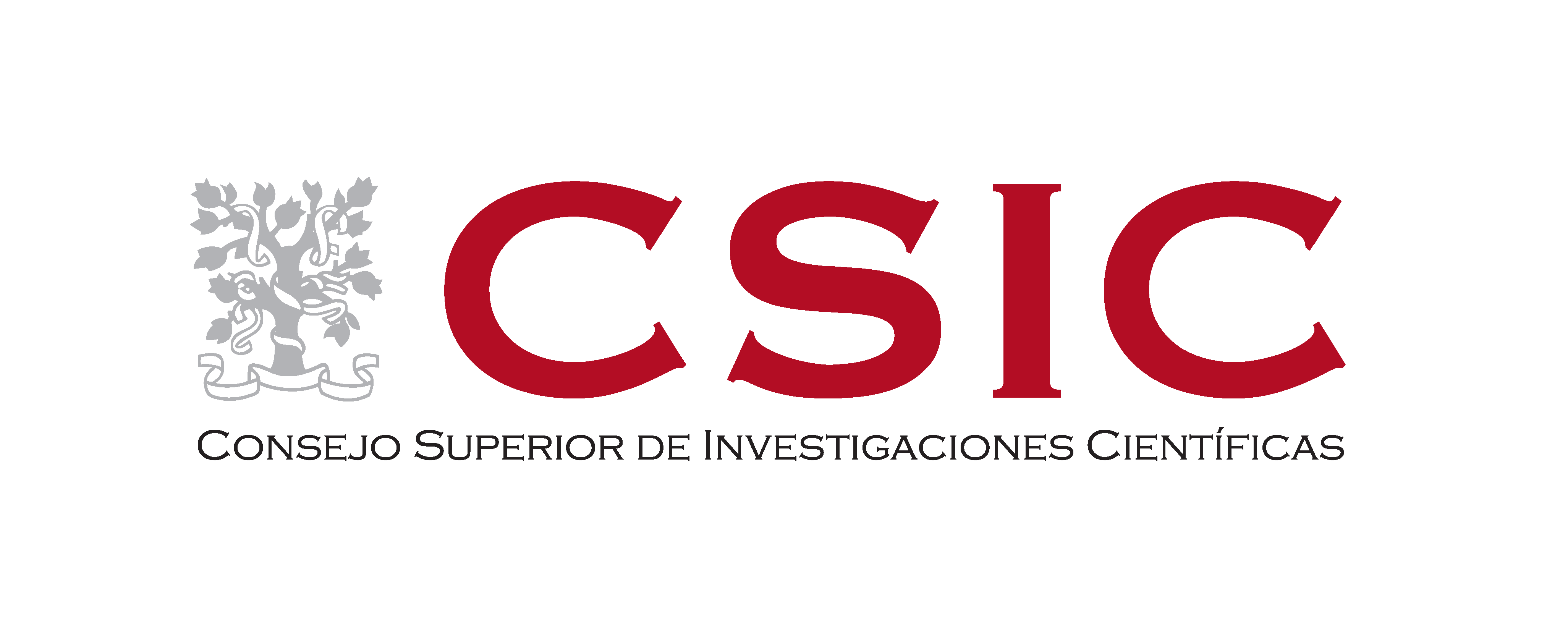 spanish-national-research-council-csic